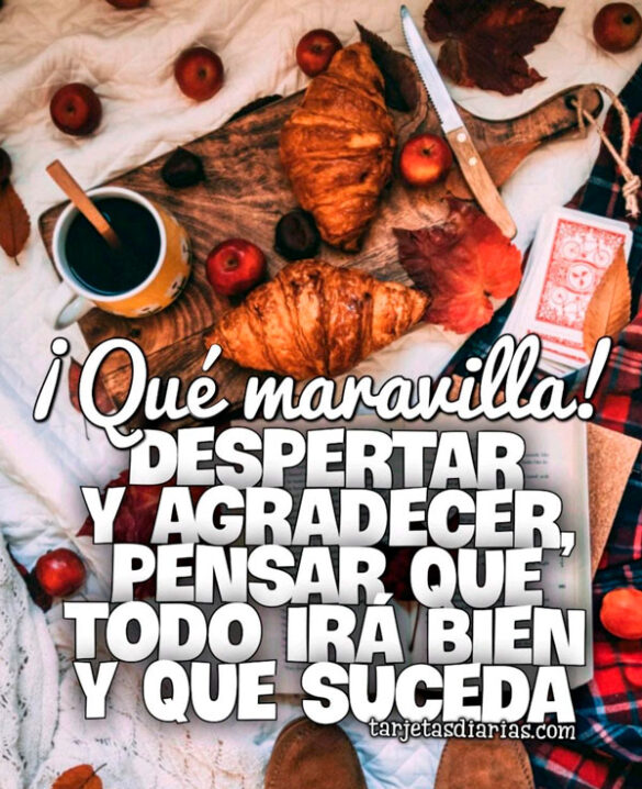 ¡QUÉ MARAVILLA! DESPERTAR Y AGRADECER, PENSAR QUE TODO IRÁ BIEN Y QUE SUCEDA