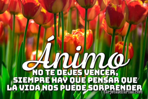 ÁNIMO, NO TE DEJES VENCER, SIEMPRE HAY QUE PENSAR QUE LA VIDA NOS PUEDE SORPRENDER