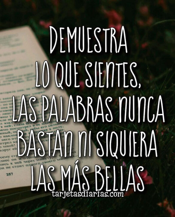 DEMUESTRA LO QUE SIENTES, LAS PALABRAS NUNCA BASTAN NI SIQUIERA LAS MÁS BELLAS