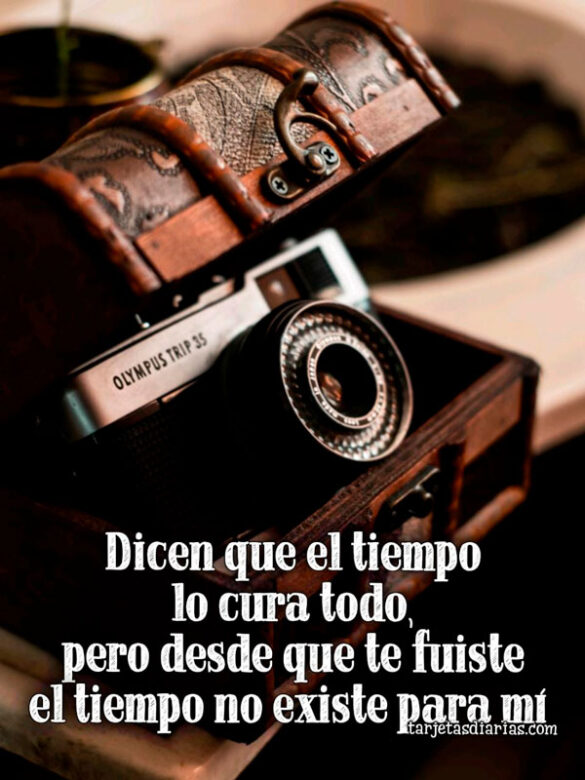 DICEN QUE EL TIEMPO LO CURA TODO, PERO DESDE QUE TE FUISTE NO EXISTE PARA MÍ