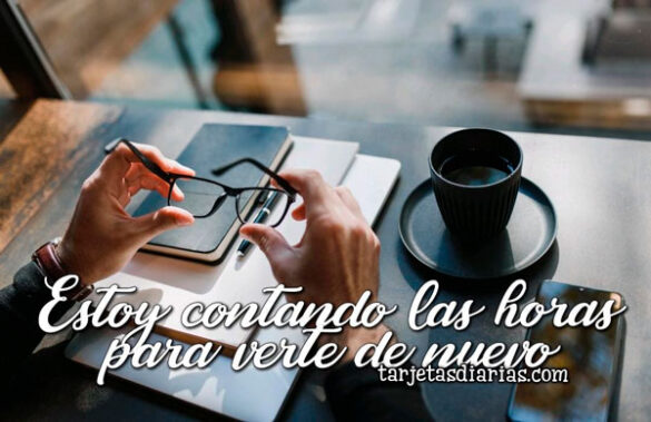 ESTOY CONTANDO LAS HORAS PARA VERTE DE NUEVO