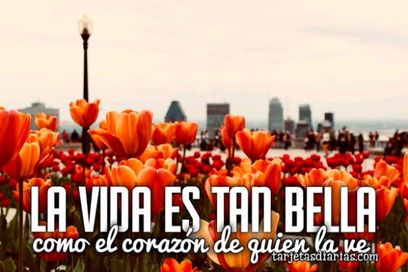 LA VIDA ES TAN BELLA COMO EL CORAZÓN DE QUIEN LA VE