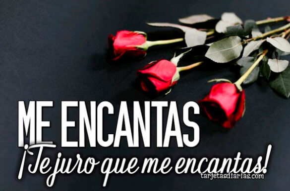 ME ENCANTAS ¡TE JURO QUE ME ENCANTAS!