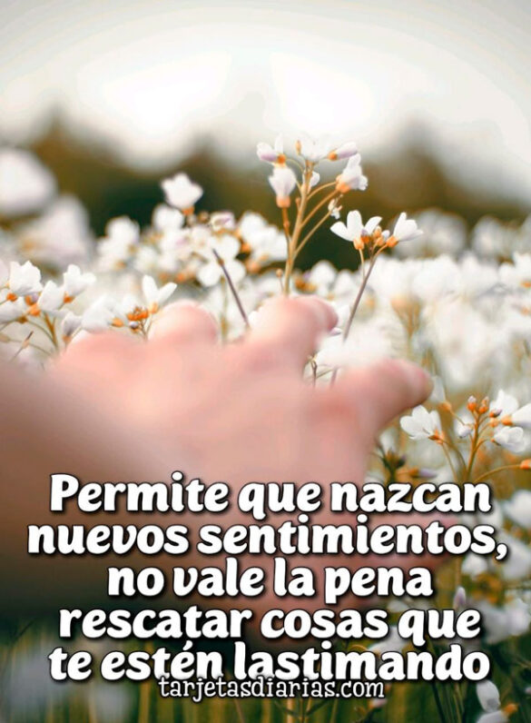 PERMITE QUE NAZCAN NUEVOS SENTIMIENTOS