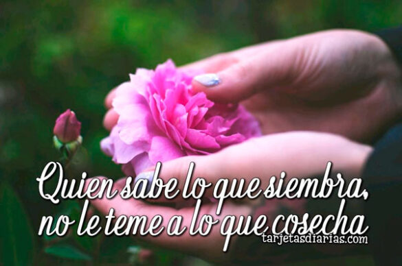 QUIEN SABE LO QUE SIEMBRA, NO LE TEME A LO QUE COSECHA