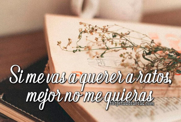 SI ME VAS A QUERER A RATOS, MEJOR NO ME QUIERAS