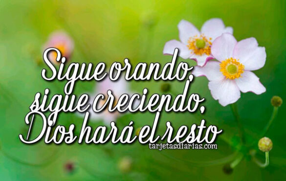 SIGUE ORANDO, SIGUE CRECIENDO, DIOS HARÁ EL RESTO