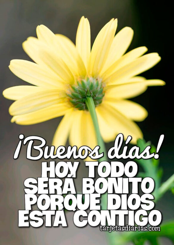 ¡BUENOS DÍAS! HOY TODO SERÁ BONITO PORQUE DIOS ESTÁ CONTIGO