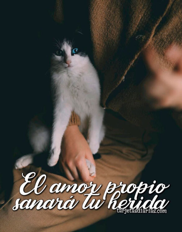 EL AMOR PROPIO SANARÁ TU HERIDA