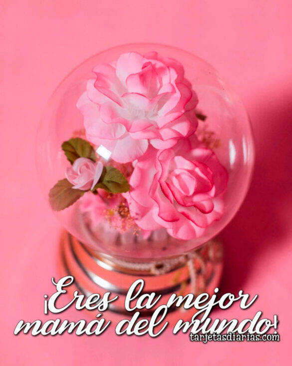 ¡ERES LA MEJOR MAMÁ DEL MUNDO!