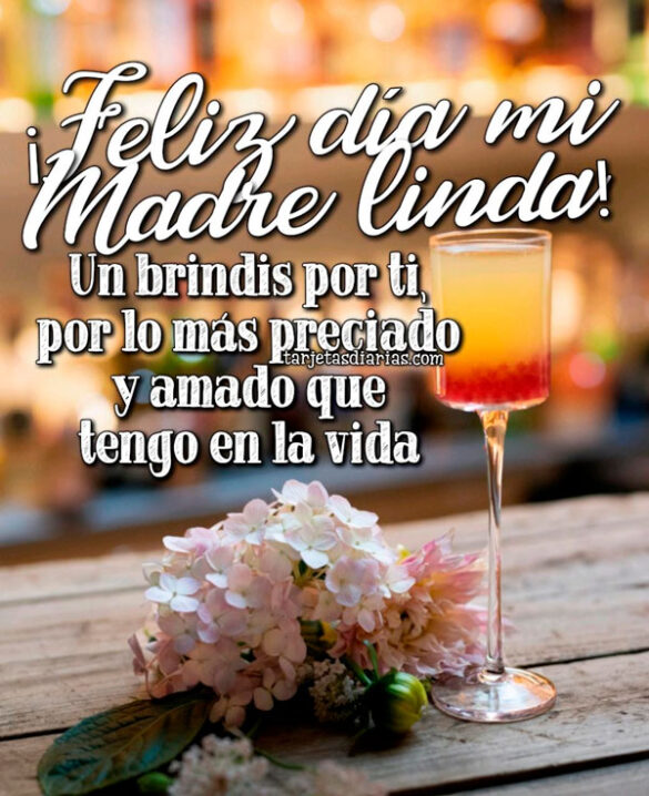 ¡FELIZ DÍA MADRE LINDA! UN BRINDIS POR TI, POR LO MÁS PRECIADO Y AMADO QUE TENGO EN LA VIDA