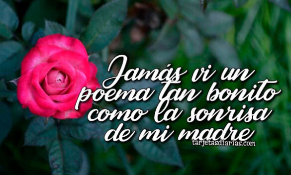 JAMÁS VI UN POEMA TAN BONITO COMO LA SONRISA DE MI MADRE