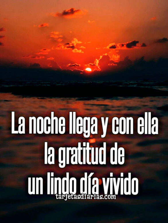 LA NOCHE LLEGA Y CON ELLA LA GRATITUD DE UN LINDO DÍA VIVIDO