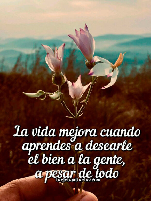 LA VIDA MEJORA CUANDO APRENDES A DESEARLE EL BIEN A LA GENTE, A PESAR DE TODO