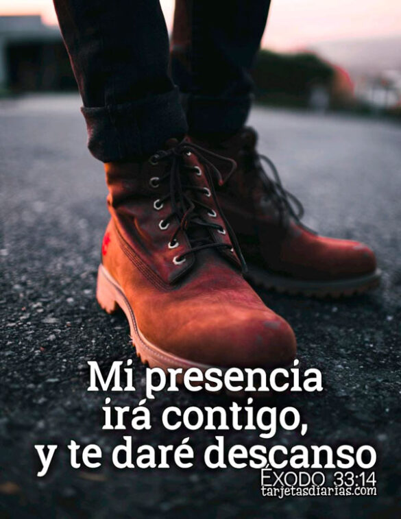 MI PRESENCIA IRÁ CONTIGO, Y TE DARÉ DESCANSO. ÉXODO 33:14