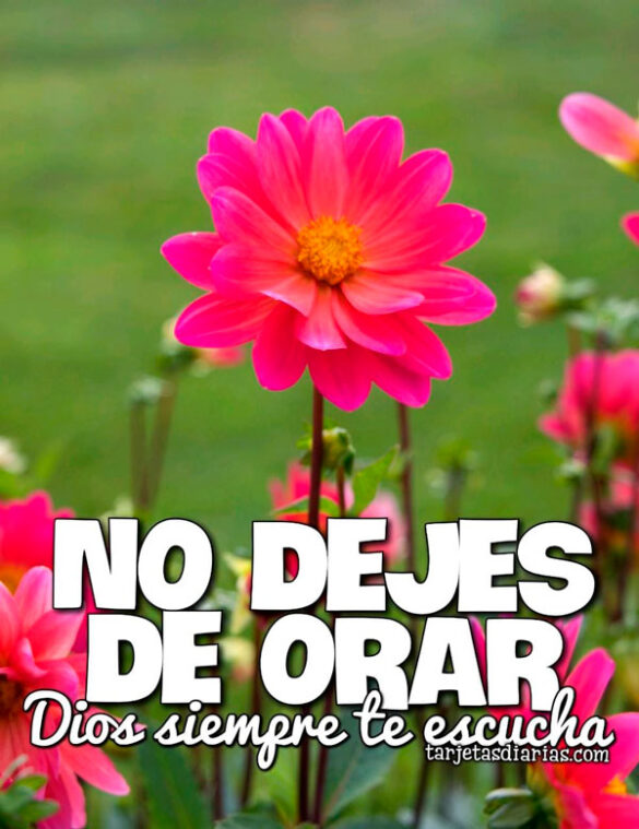 NO DEJES DE ORAR, DIOS SIEMPRE TE ESCUCHA