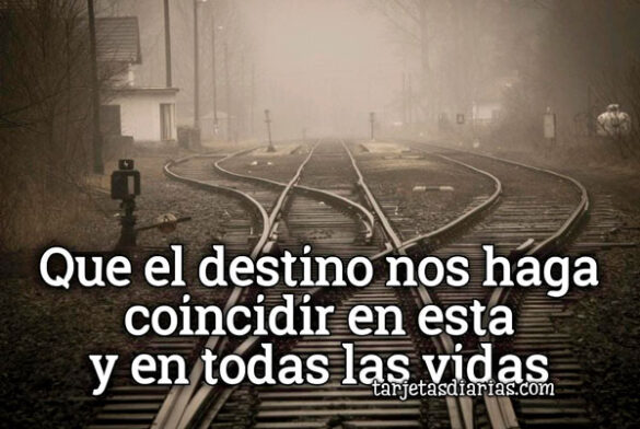 QUE EL DESTINO NOS HAGA COINCIDIR EN ESTA Y EN TODAS LAS VIDAS