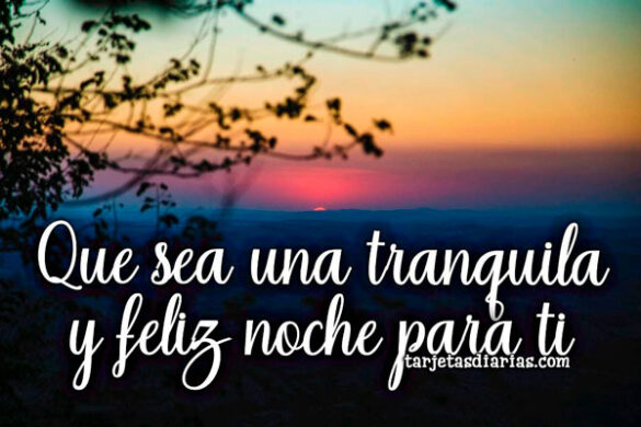 QUE SEA UNA TRANQUILA Y FELIZ NOCHE PARA TI