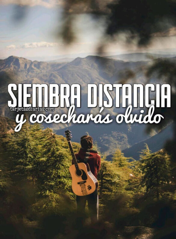 SIEMBRA DISTANCIA Y COSECHARÁS OLVIDO