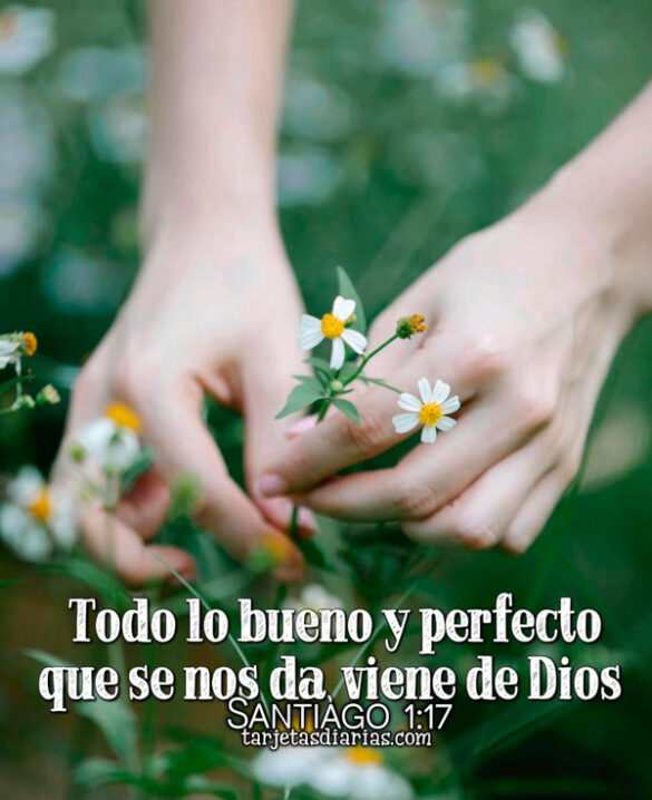 TODO LO BUENO Y PERFECTO QUE SE NOS DA, VIENE DE DIOS. SANTIAGO 1:17