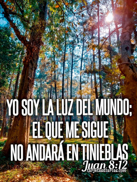 YO SOY LA LUZ DEL MUNDO; EL QUE ME SIGUE NO ANDARÁ EN TINIEBLAS JUAN 8:12