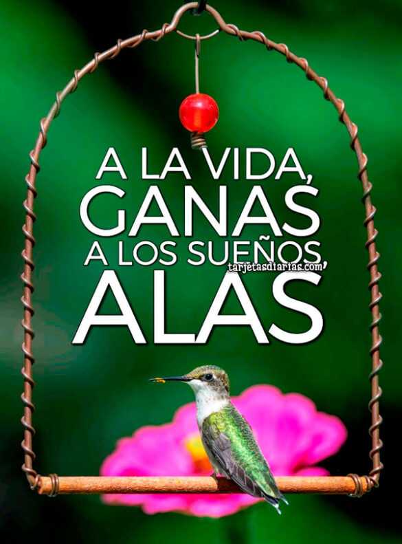 A LA VIDA, GANAS. A LOS SUEÑOS ALAS