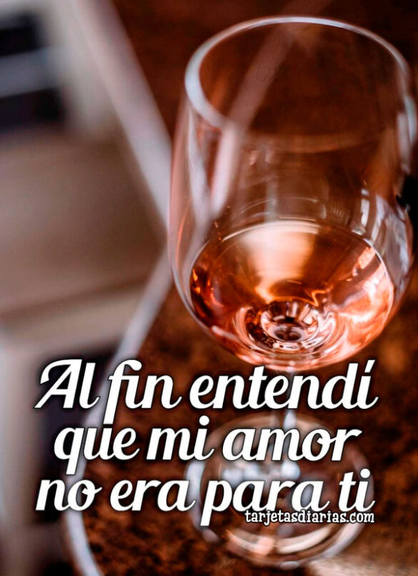 AL FIN ENTENDÍ QUE MI AMOR NO ERA PARA TI