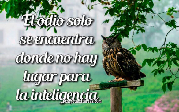 EL ODIO SOLO SE ENCUENTRA DONDE NO HAY LUGAR PARA LA INTELIGENCIA