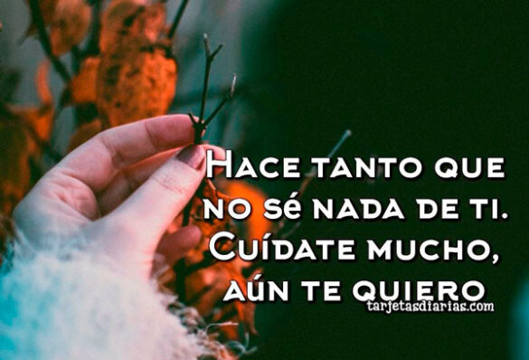 HACE TANTO QUE NO SÉ NADA DE TI. CUÍDATE MUCHO, AÚN TE QUIERO