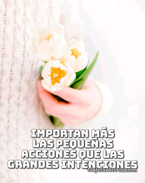 IMPORTAN MÁS LAS PEQUEÑAS ACCIONES QUE LAS GRANDES INTENCIONES