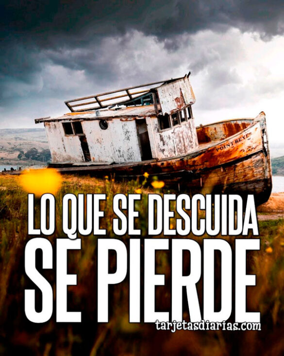 LO QUE SE DESCUIDA, SE PIERDE