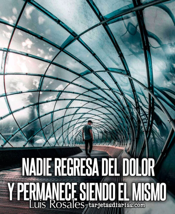 NADIE REGRESA DEL DOLOR Y PERMANECE SIENDO EL MISMO