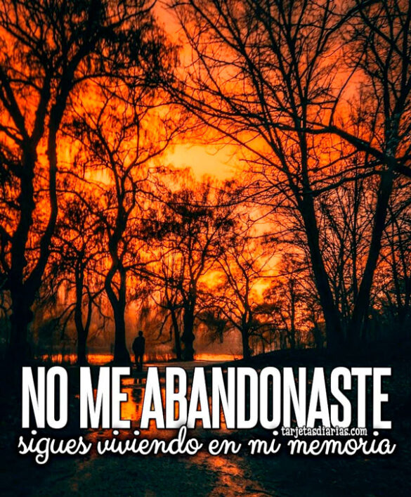 NO ME ABANDONASTE, SIGUES VIVIENDO EN MI MEMORIA