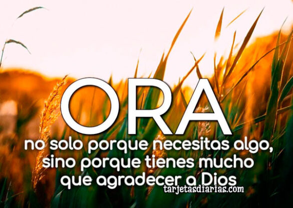 ORA, NO SOLO PORQUE NECESITAS ALGO, SINO PORQUE TIENES MUCHO QUE AGRADECER A DIOS