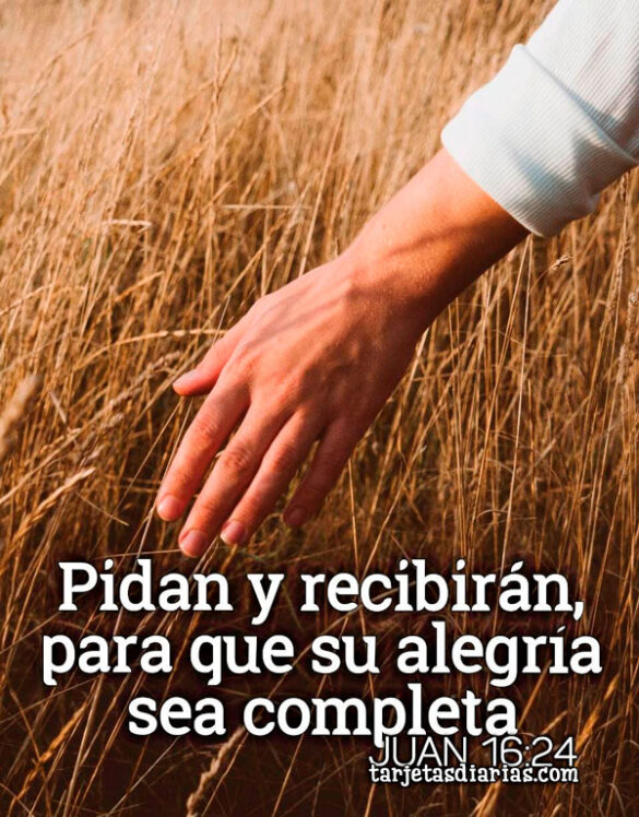 PIDAN Y RECIBIRÁN, PARA QUE SU ALEGRÍA SEA COMPLETA. JUAN 16:24