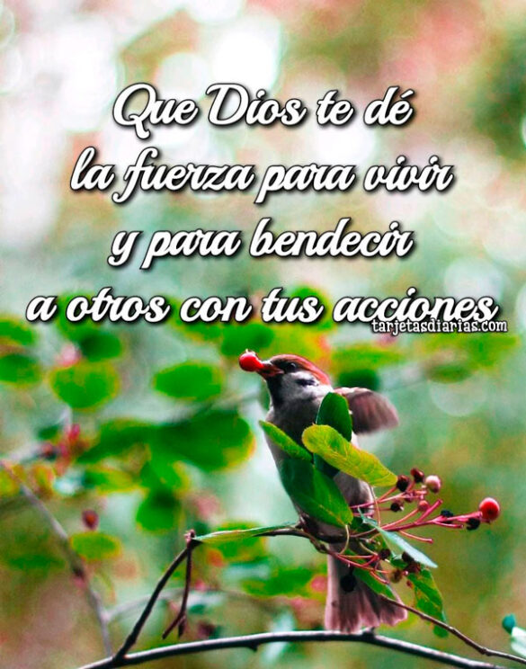 QUE DIOS TE DÉ LA FUERZA PARA VIVIR Y PARA BENDECIR A OTROS CON TUS ACCIONES