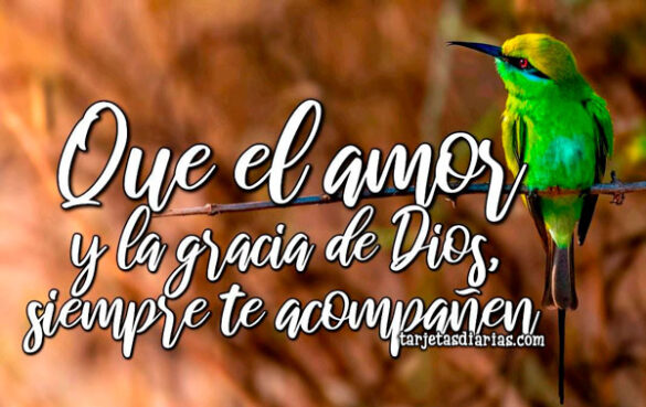 QUE EL AMOR Y LA GRACIA DE DIOS SIEMPRE TE ACOMPAÑEN