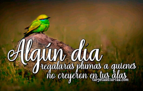 ALGÚN DÍA REGALARÁS PLUMAS A QUIENES NO CREYERON EN TUS ALAS