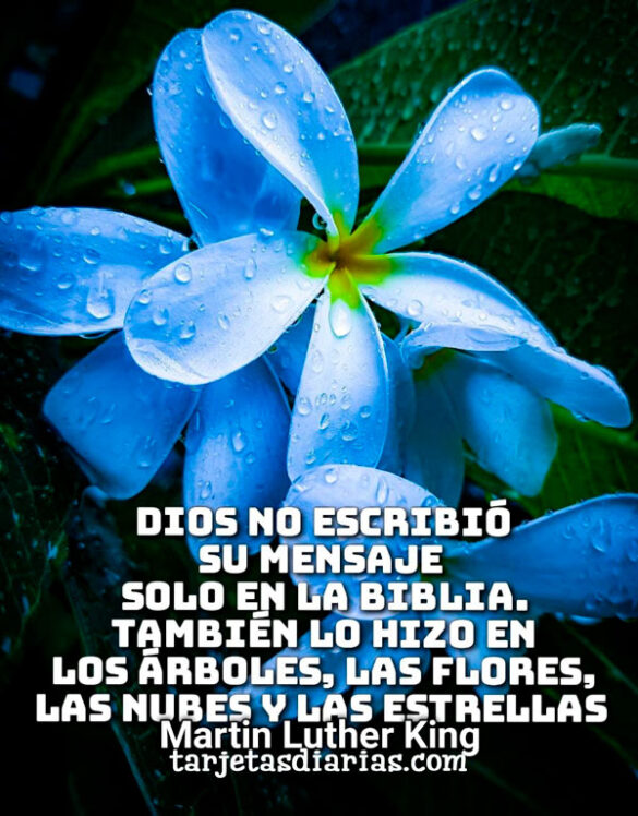 DIOS NO ESCRIBIÓ SU MENSAJE SOLO EN LA BIBLIA. TAMBIÉN LO HIZO EN LAS FLORES, LAS NUBES Y LAS ESTRELLAS