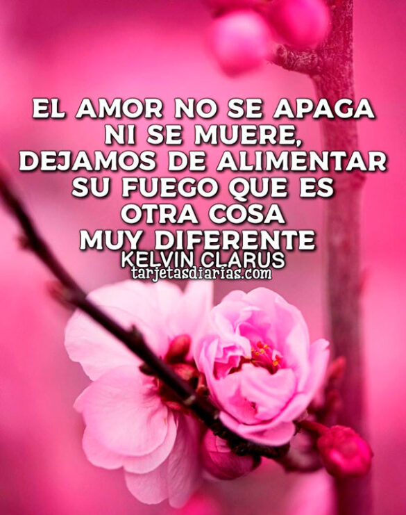 EL AMOR NO SE APAGA NI SE MUERE, DEJAMOS DE ALIMENTAR SU FUEGO QUE ES OTRA COSA MUY DIFERENTE