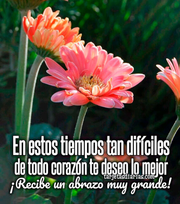 EN ESTOS TIEMPOS TAN DIFÍCILES DE TODO CORAZÓN TE DESEO LO MEJOR ¡RECIBE UN ABRAZO MUY GRANDE!