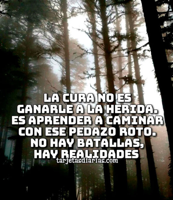 LA CURA NO ES GANARLE A LA HERIDA. ES APRENDER A CAMINAR CON ESE PEDAZO ROTO