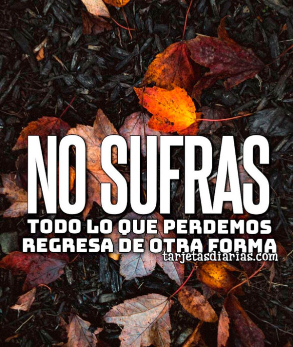 NO SUFRAS, TODO LO QUE PERDEMOS REGRESA DE OTRA FORMA