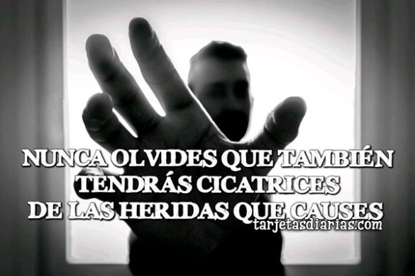 NUNCA OLVIDES QUE TAMBIÉN TENDRÁS CICATRICES DE LAS HERIDAS QUE CAUSES