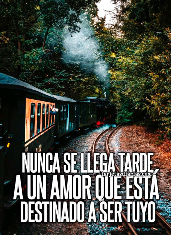 NUNCA SE LLEGA TARDE A UN AMOR QUE ESTÁ DESTINADO A SER TUYO