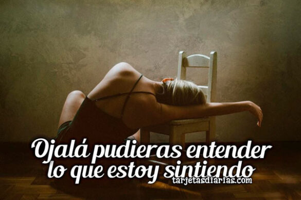 OJALÁ PUDIERAS ENTENDER LO QUE ESTOY SINTIENDO