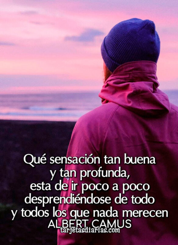 QUÉ SENSACIÓN TAN BUENA Y TAN PROFUNDA, ESTA DE IR DESPRENDIÉNDOSE DE TODO Y TODOS LOS QUE NADA MERECEN