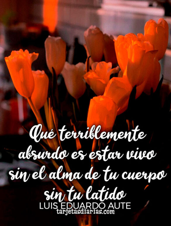 QUÉ TERRIBLEMENTE ABSURDO ES ESTAR VIVO, SIN EL ALMA DE TU CUERPO SIN TU LATIDO