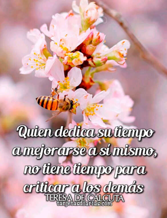 QUIEN DEDICA SU TIEMPO A MEJORARSE A SÍ MISMO, NO TIENE TIEMPO PARA CRITICAR A LOS DEMÁS