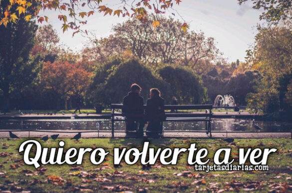 QUIERO VOLVERTE A VER
